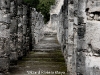 Mayan Ruins_-9